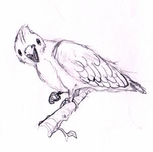Zeichnung Vogel