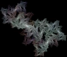 IFS-fractal color00078.png