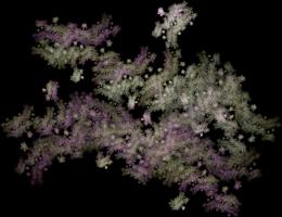 IFS-fractal color00130.png