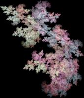 IFS-fractal color00145.png