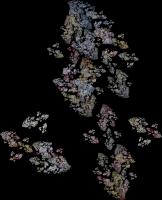 IFS-fractal color00200.png