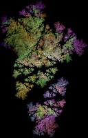 IFS-fractal color00202.png