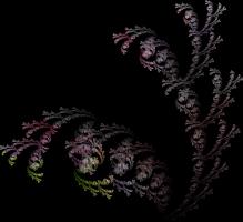 IFS-fractal color00210.png