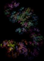 IFS-fractal color00277.png