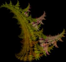 IFS-fractal color00512.png