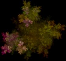 IFS-fractal color00554.png
