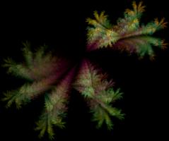 IFS-fractal color00653.png