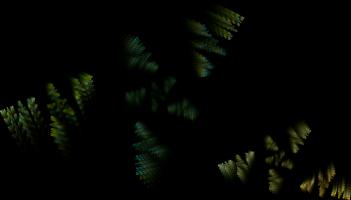 IFS-fractal color00707.png